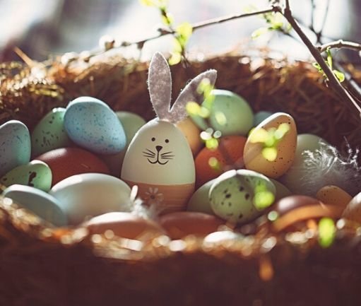 Every year on Easter, legend has it that a long-eared, cotton-tailed creature comes to deliver festive baskets full of treats, toys, and delicious sweets to children — and even lays colourful eggs for them to find! Among other Easter traditions like...