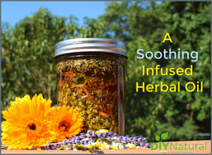 Making this infused herbal oil is simple and you can use it as the base for a nice massage, in skin-soothing salves, as a delightful bath oil, and more.