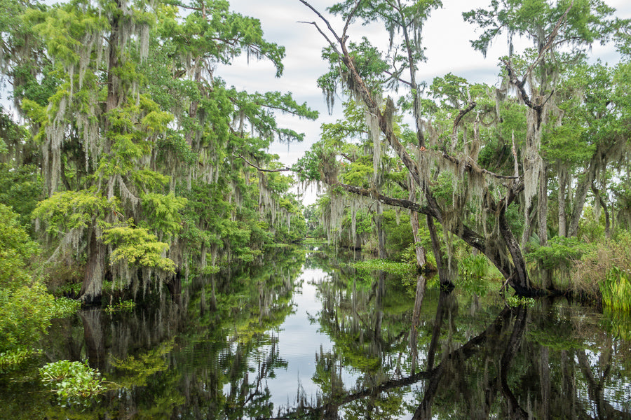 There are tons of fun things to do in New Orleans, but there are also plenty of great options for day trips outside of the city